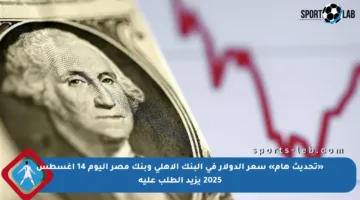 «تحديث هام» سعر الدولار في البنك الأهلي وبنك مصر اليوم 14 أغسطس 2025 يزيد الطلب عليه